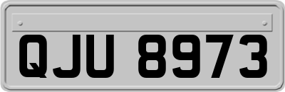 QJU8973