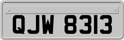 QJW8313