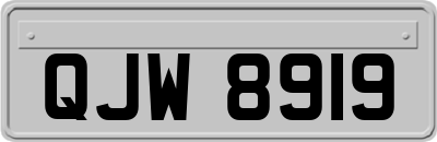 QJW8919