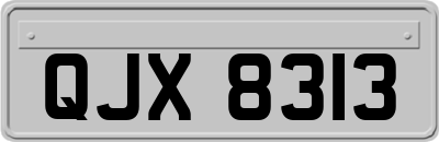 QJX8313