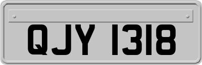 QJY1318