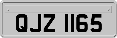 QJZ1165