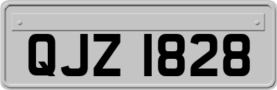 QJZ1828