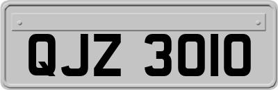 QJZ3010