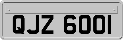 QJZ6001