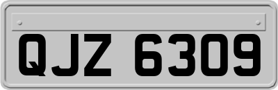 QJZ6309