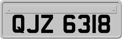 QJZ6318