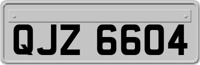 QJZ6604