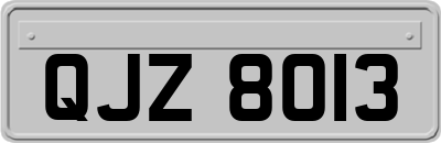 QJZ8013