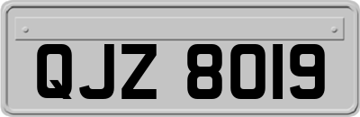 QJZ8019