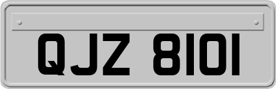 QJZ8101