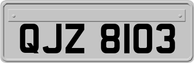 QJZ8103