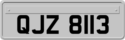 QJZ8113