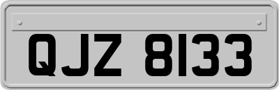 QJZ8133