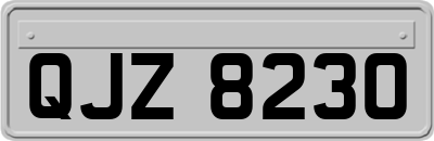 QJZ8230