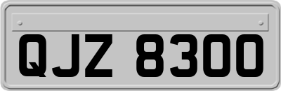 QJZ8300