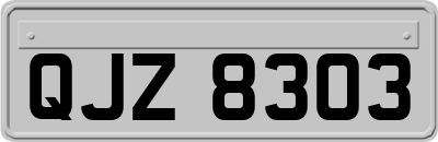 QJZ8303