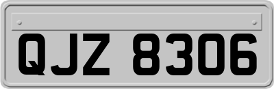 QJZ8306