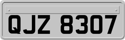 QJZ8307