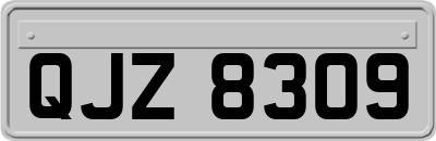 QJZ8309