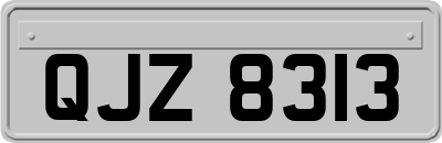 QJZ8313