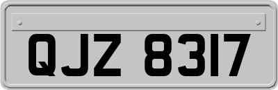 QJZ8317