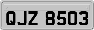 QJZ8503