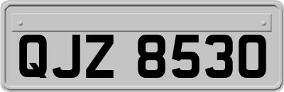 QJZ8530