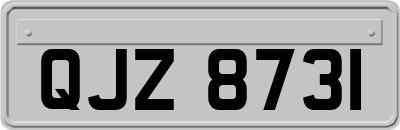 QJZ8731