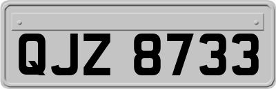 QJZ8733