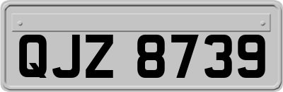 QJZ8739