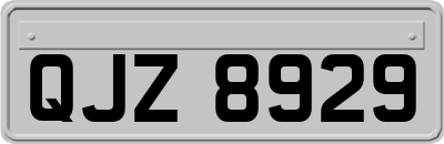 QJZ8929