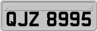 QJZ8995