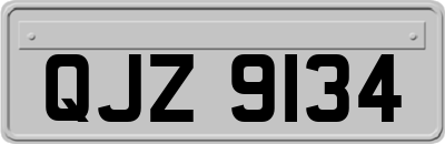 QJZ9134