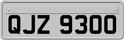 QJZ9300