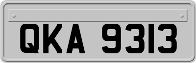 QKA9313
