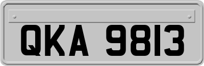 QKA9813