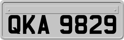 QKA9829