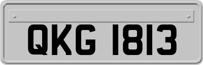 QKG1813