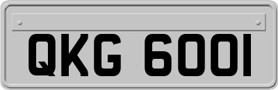 QKG6001