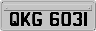 QKG6031