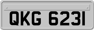 QKG6231