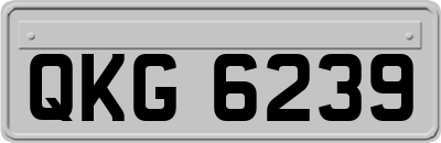 QKG6239