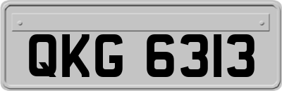 QKG6313