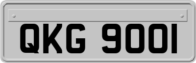 QKG9001