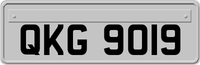 QKG9019