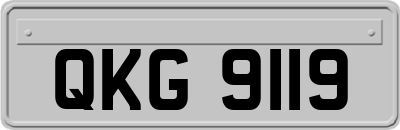 QKG9119