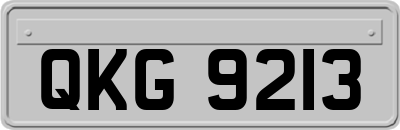 QKG9213