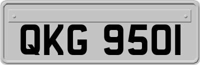 QKG9501