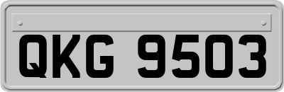 QKG9503